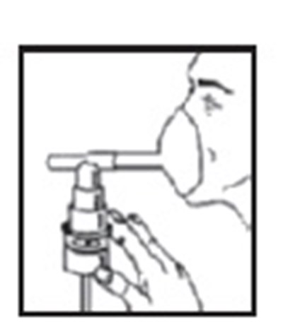 Figure 6 (Figure 6)